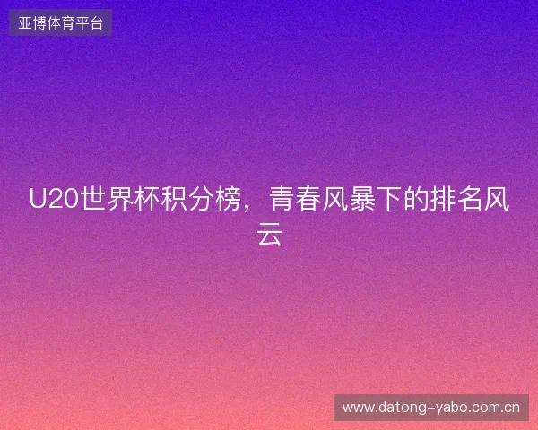 U20世界杯积分榜，青春风暴下的排名风云
